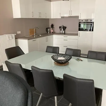 Dartling Apartment Ostend